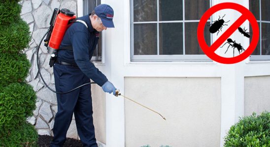Havza Bit İlaçlama böcek ilaçlama ve haşere kontrolü — ilaclama-tr.com